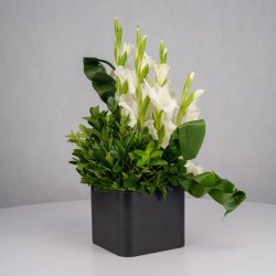 گل ترحیم F26 - 29