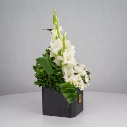 گل ترحیم F26 - 34