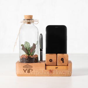 گیاه رومیزی برای روز مهندس