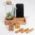 گیاه تراریوم شماره 11- گلفروشی آنلاین VIP Shop