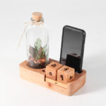 گیاه تراریوم شماره 11- گلفروشی آنلاین VIP Shop