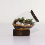 تراریوم شماره 3 (1) - VIP Shop