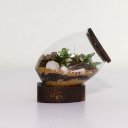تراریوم شماره 3 (1) - VIP Shop