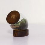 تراریوم شماره 3 (13) - VIP Shop