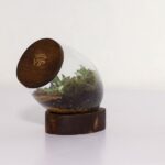 تراریوم شماره 3 (14) - VIP Shop