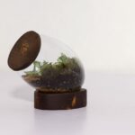 تراریوم شماره 3 (15) - VIP Shop