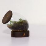 تراریوم شماره 3 (16) - VIP Shop