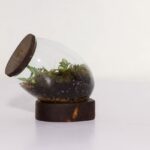 تراریوم شماره 3 (17) - VIP Shop