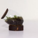 تراریوم شماره 3 (18) - VIP Shop