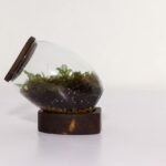 تراریوم شماره 3 (19) - VIP Shop