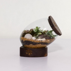 تراریوم شماره 3 (2) - VIP Shop