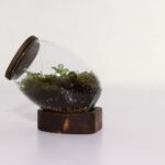 تراریوم شماره 3 (20) - VIP Shop