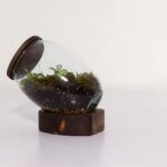 تراریوم شماره 3 (21) - VIP Shop