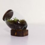 تراریوم شماره 3 (22) - VIP Shop