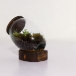 تراریوم شماره 3 (23) - VIP Shop