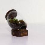 تراریوم شماره 3 (24) - VIP Shop