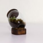 تراریوم شماره 3 (25) - VIP Shop