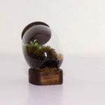 تراریوم شماره 3 (26) - VIP Shop