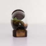 تراریوم شماره 3 (27) - VIP Shop