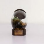 تراریوم شماره 3 (28) - VIP Shop