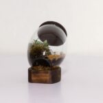 تراریوم شماره 3 (29) - VIP Shop