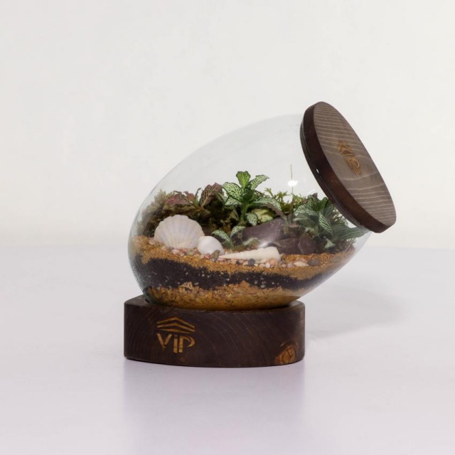 تراریوم شماره 3 (3) - VIP Shop