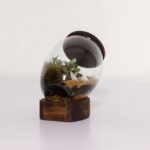 تراریوم شماره 3 (30) - VIP Shop