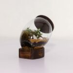 تراریوم شماره 3 (31) - VIP Shop