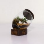 تراریوم شماره 3 (32) - VIP Shop