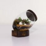 تراریوم شماره 3 (33) - VIP Shop