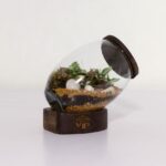 تراریوم شماره 3 (34) - VIP Shop