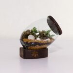 تراریوم شماره 3 (35) - VIP Shop