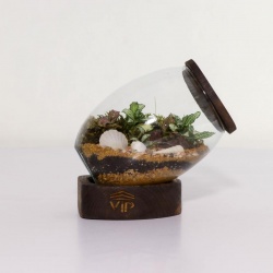 تراریوم شماره 3 (36) - VIP Shop