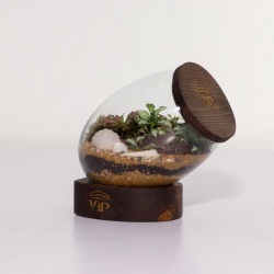 تراریوم شماره 3 (4) - VIP Shop