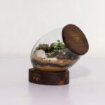 تراریوم شماره 3 (5) - VIP Shop