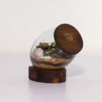 تراریوم شماره 3 (6) - VIP Shop