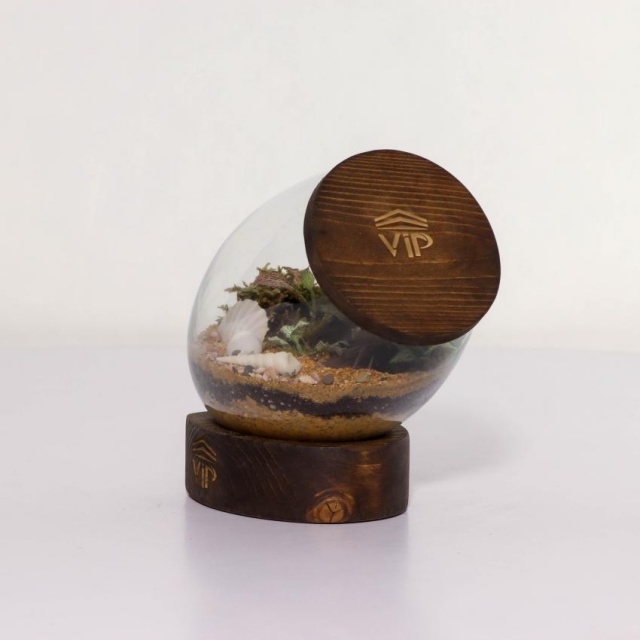 تراریوم شماره 3 (7) - VIP Shop