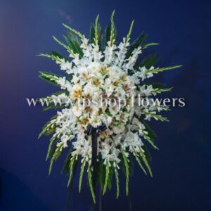 تاج گل T16