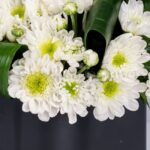 گل های داوودی سفید بهترین نماد در گل ترحیم هستند.