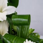 رنگ سبز روح را تسکین می‌بخشد.