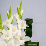 گل های گلایل آرامش بخش هستند.