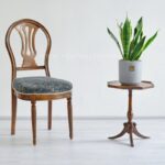 سانسوریا کراواتی ابلق برای هر جایی مناسب است.