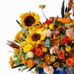 گل آفتابگردان باعث زیباتر شدن جعبه گل طراوت میشود.