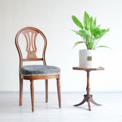 گلدان آپارتمانی آگلونما کنار صندلی