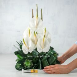 جعبه گل رومیزی آنتوریوم- گلفروشی آنلاین VIP Shop