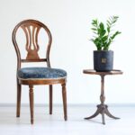 زاموفیلیا متوسط سایز متناسبی برای خانه دارد.