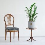 زاموفیلیا بزرگ بسیار کاربردی است.