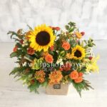 جعبه گل شماره 114