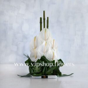 گل رومیزی شماره 07