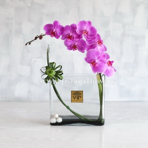 جعبه گل شماره 116